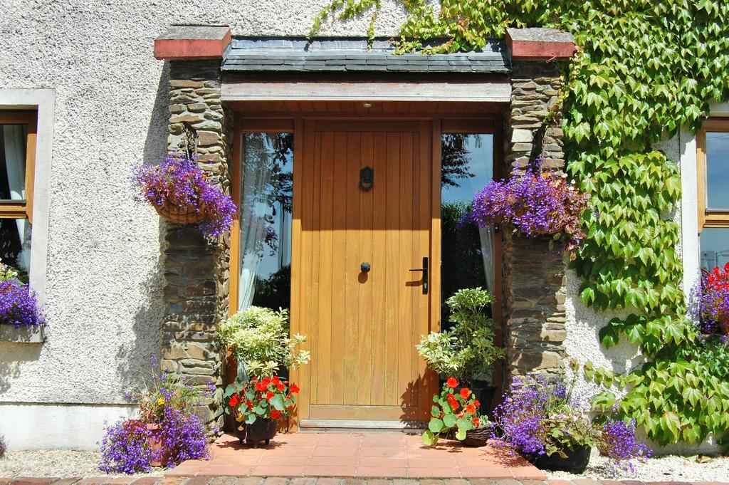Tinnycross House B&B Ballymore Eustace Esterno foto