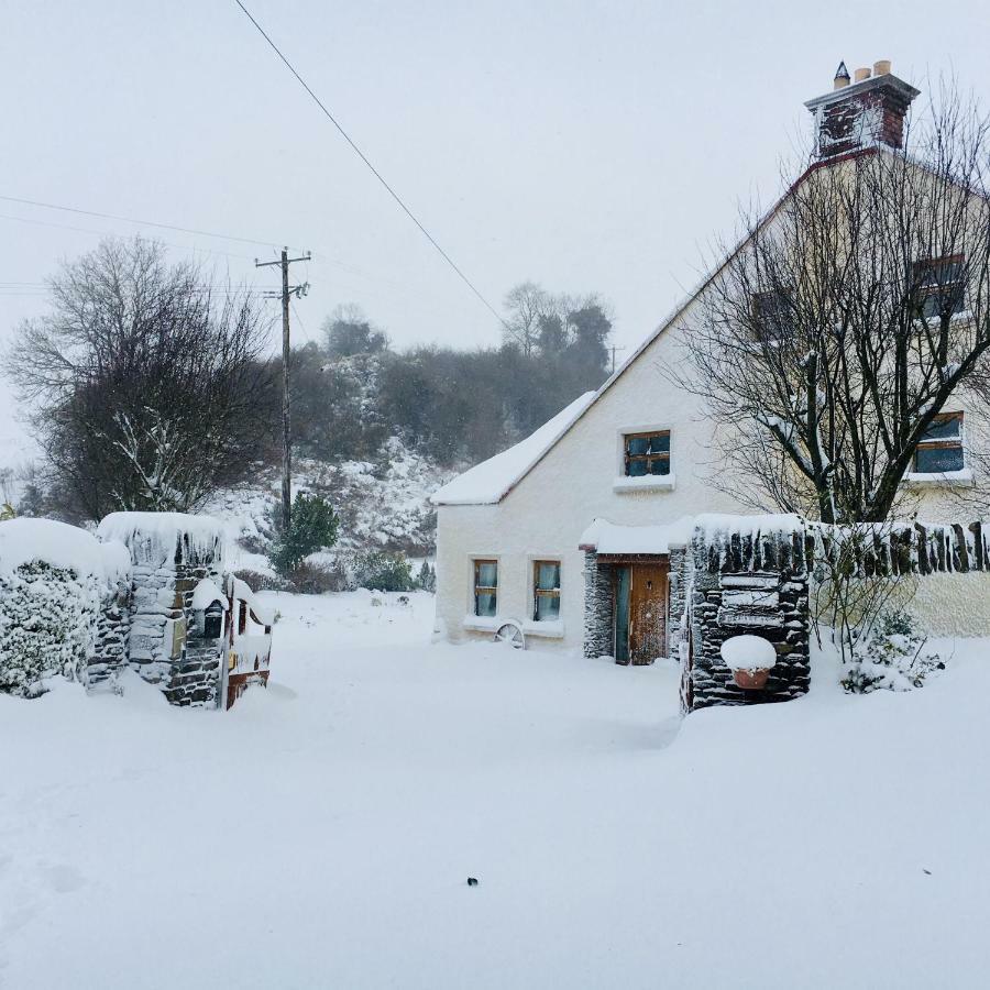 Tinnycross House B&B Ballymore Eustace Esterno foto